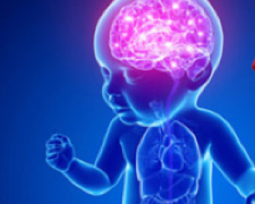 Untitled design (33)